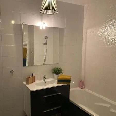 Apartment Standing 3 Ch, Secure Parking, Ol Eurexpo Vallee