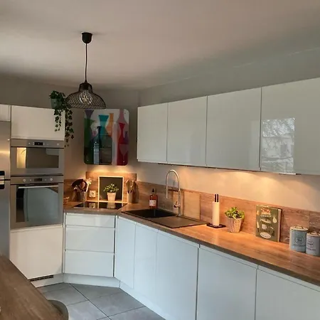 Standing 3 Ch, Secure Parking, Ol Eurexpo Vallee Apartment Meyzieu
